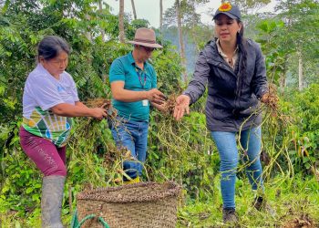 Productos locales fortalecen mercados